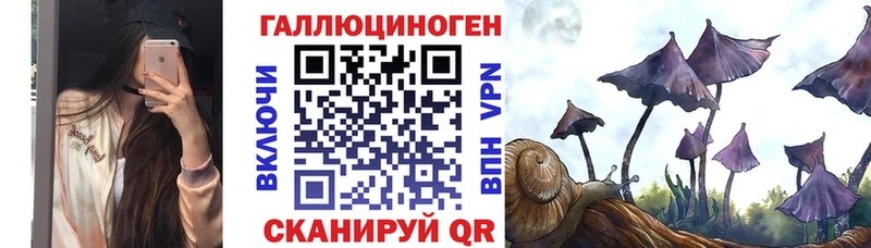 купить наркотик Новый Уренгой Псилоцибиновые грибы GOLDEN TEACHER